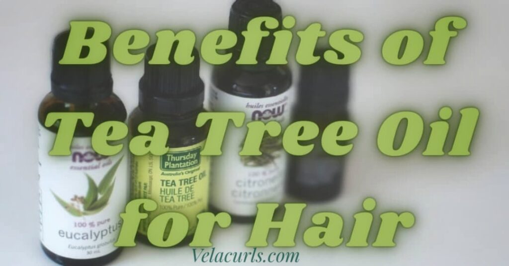 Benefits of tea tree oil for hair velacurls