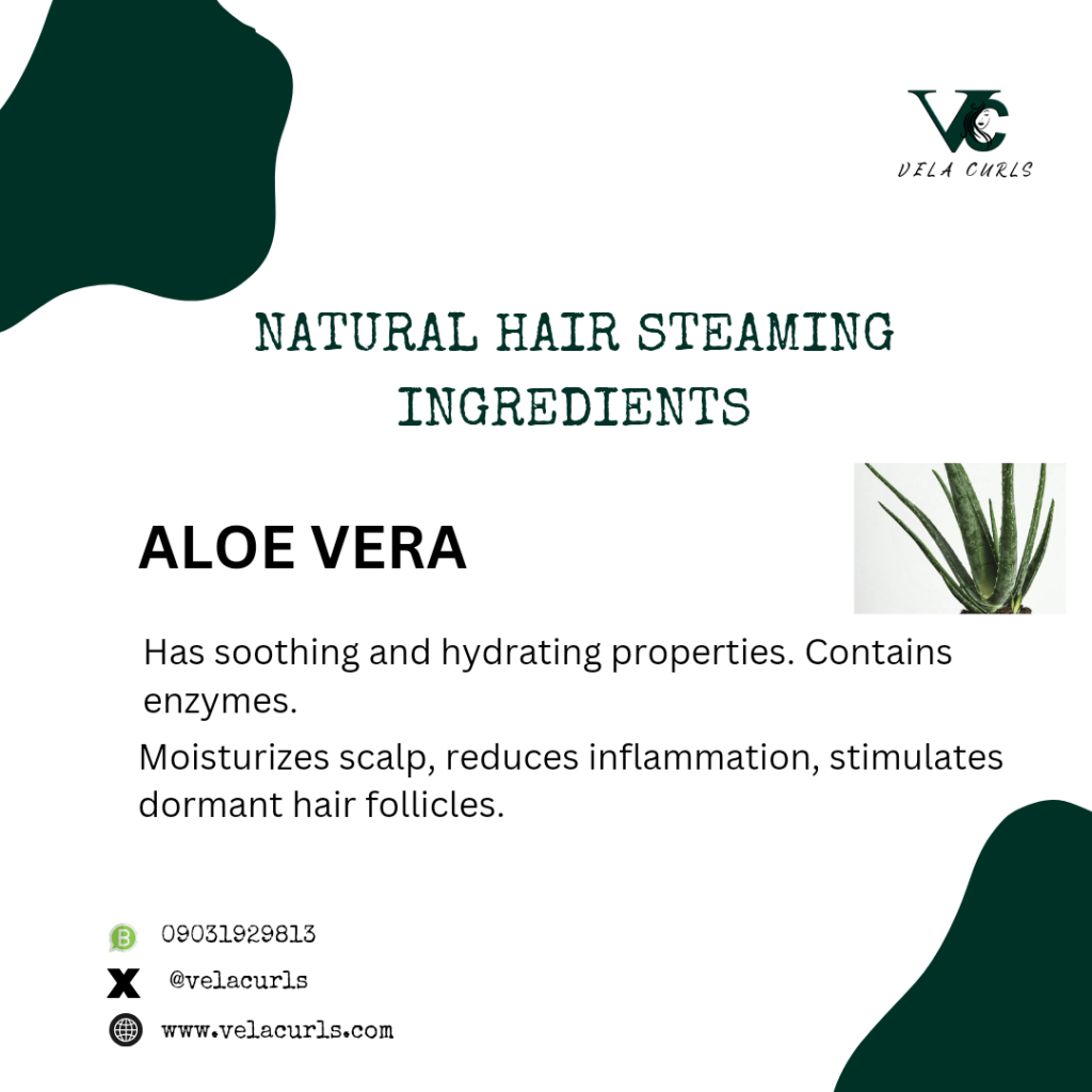 aloe vera is one of the natural hair steaming ingredients