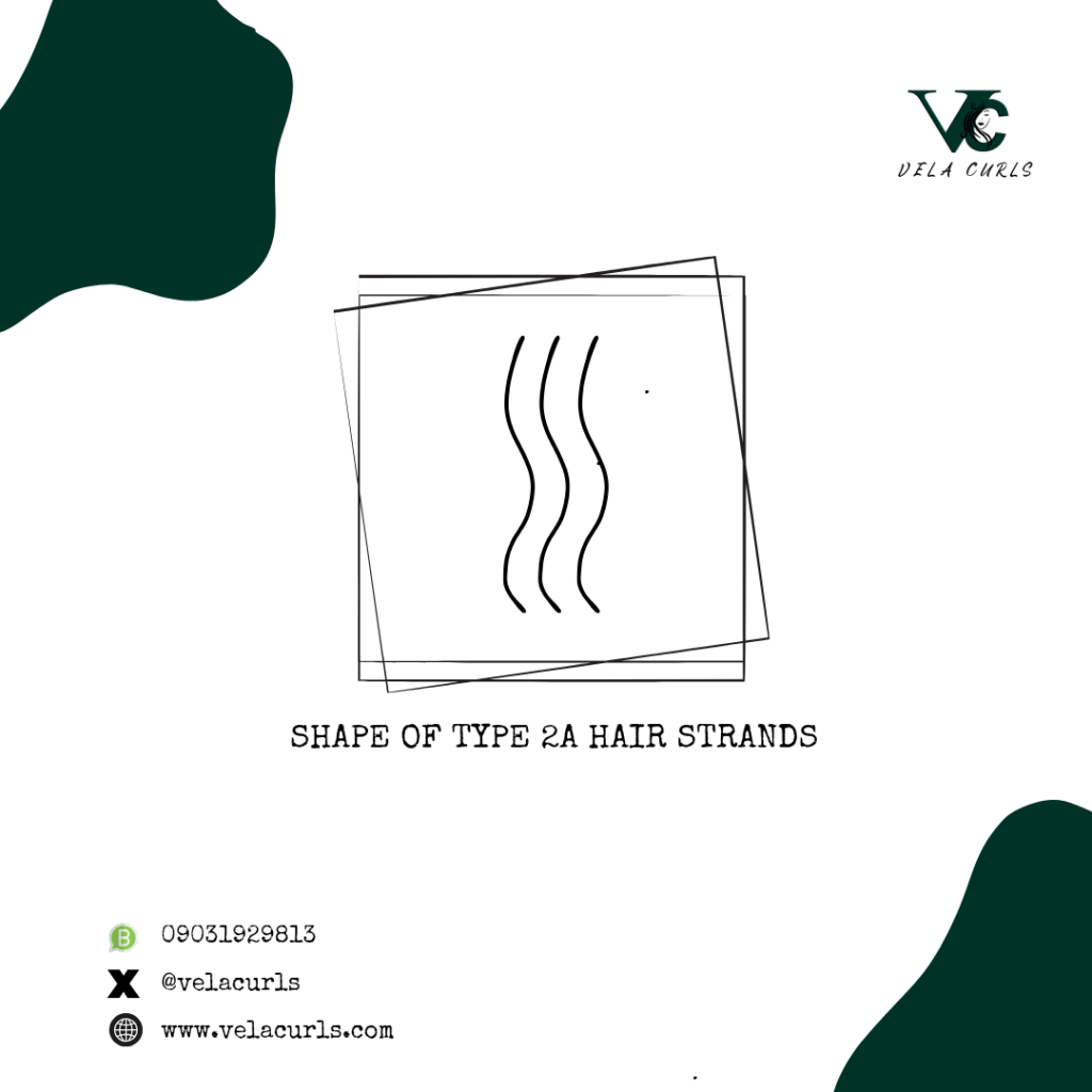 shape of 2a hair strands